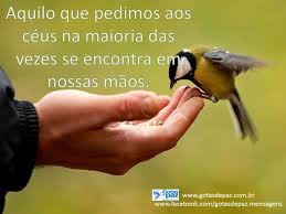 O Destino Em Nossas Mãos.